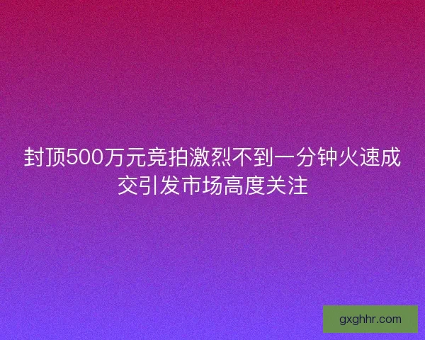封顶500万元竞拍激烈不到一分钟火速成交引发市场高度关注 封顶500万元竞拍激烈不到一分钟火速成交引发市场高度关注