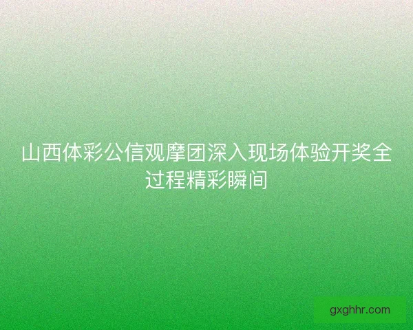 山西体彩公信观摩团深入现场体验开奖全过程精彩瞬间
