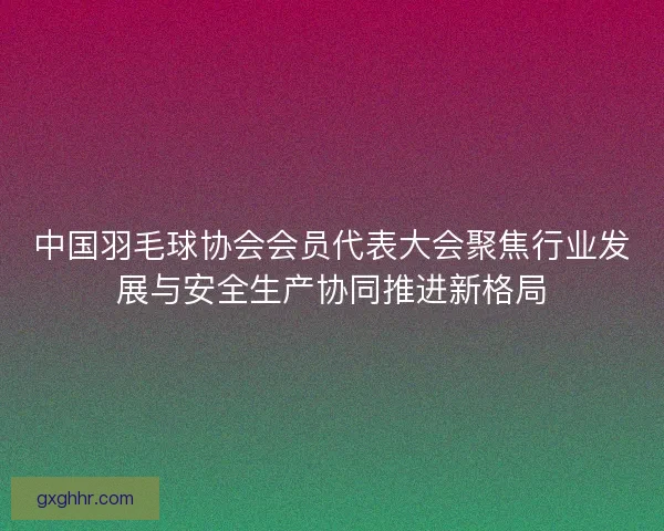 中国羽毛球协会会员代表大会聚焦行业发展与安全生产协同推进新格局